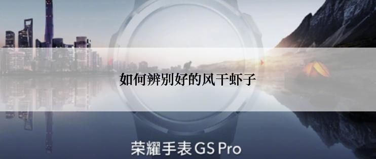 如何辨别好的风干虾子