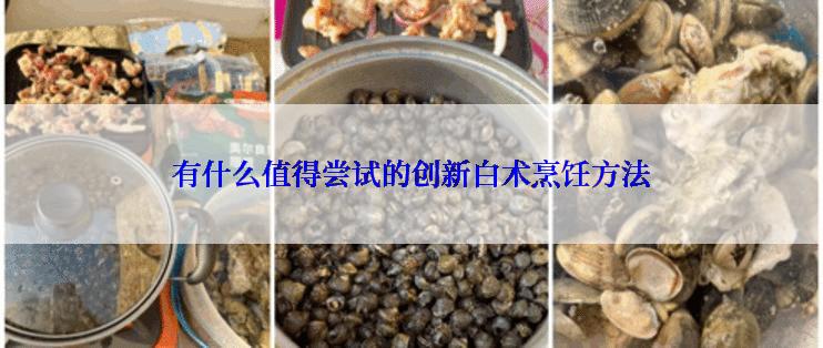 有什么值得尝试的创新白术烹饪方法