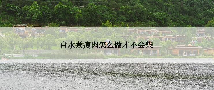 白水煮瘦肉怎么做才不会柴