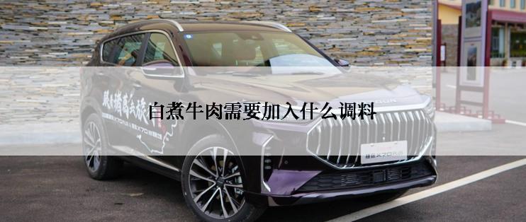 白煮牛肉需要加入什么调料