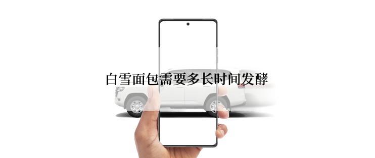 白雪面包需要多长时间发酵