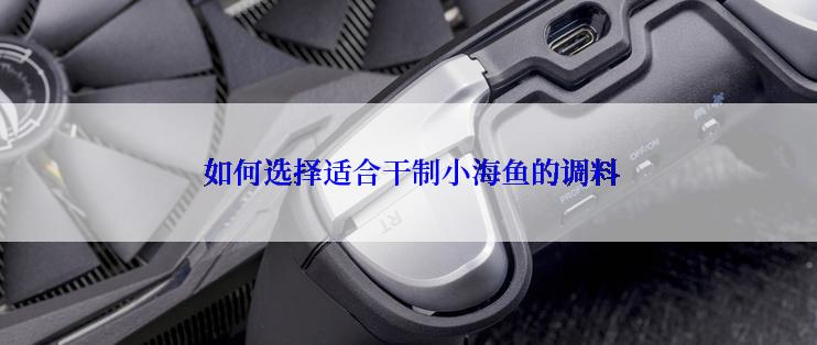 如何选择适合干制小海鱼的调料