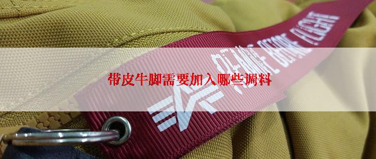  带皮牛脚需要加入哪些调料