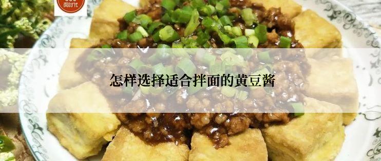  怎样选择适合拌面的黄豆酱