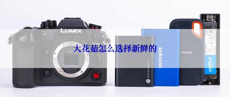 大花茹怎么选择新鲜的