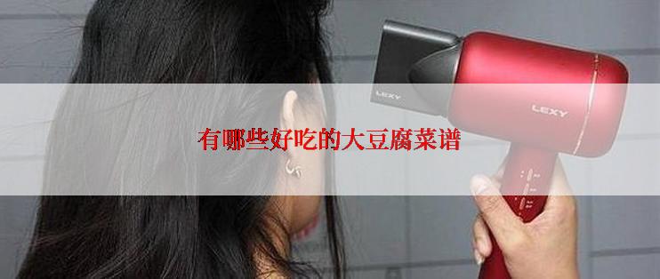有哪些好吃的大豆腐菜谱