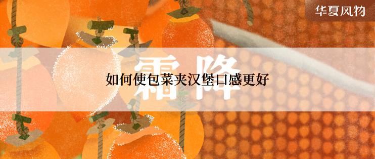 如何使包菜夹汉堡口感更好