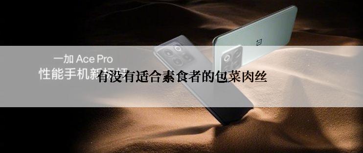 有没有适合素食者的包菜肉丝