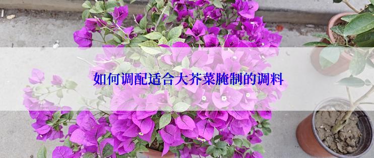  如何调配适合大芥菜腌制的调料