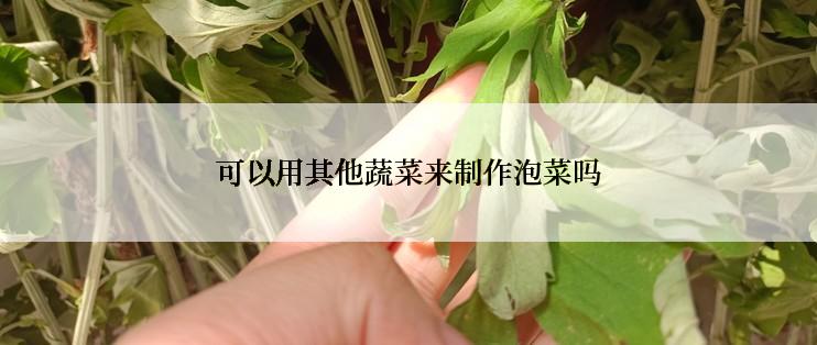 可以用其他蔬菜来制作泡菜吗