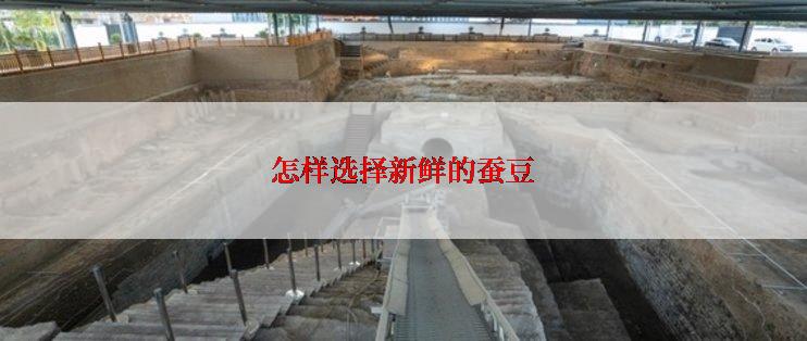 怎样选择新鲜的蚕豆