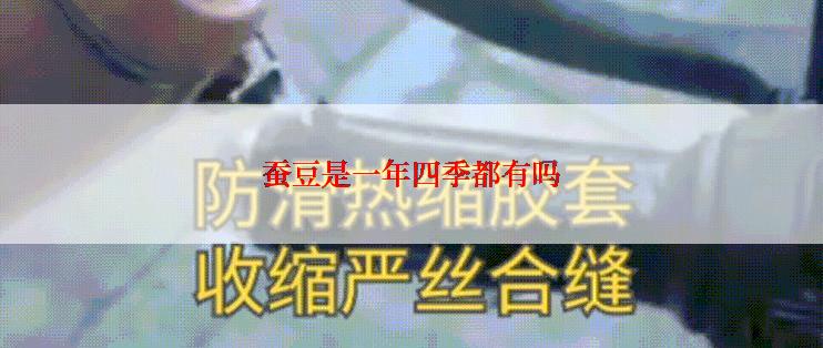 蚕豆是一年四季都有吗