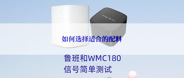 如何选择适合的配料