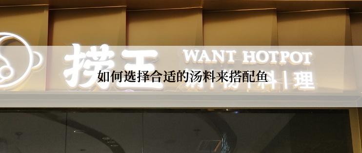 如何选择合适的汤料来搭配鱼