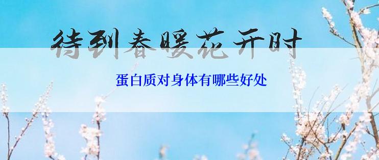  蛋白质对身体有哪些好处