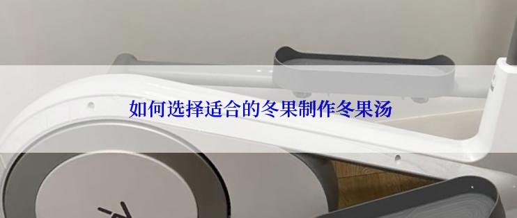  如何选择适合的冬果制作冬果汤