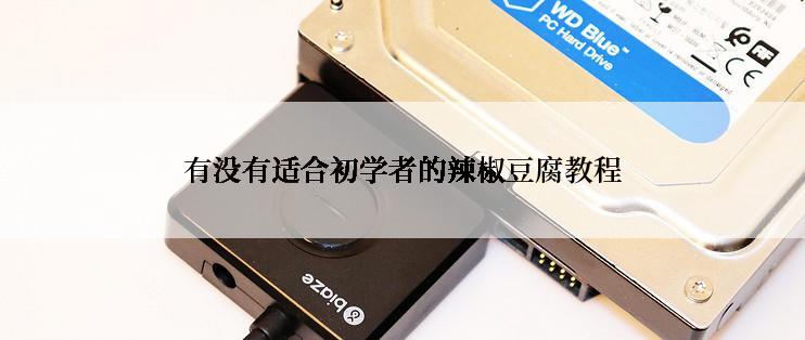 有没有适合初学者的辣椒豆腐教程