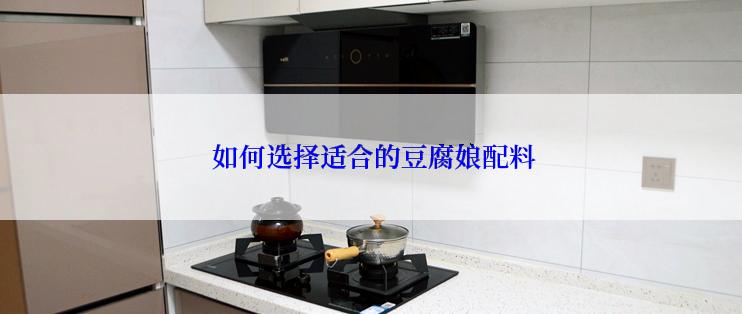  如何选择适合的豆腐娘配料