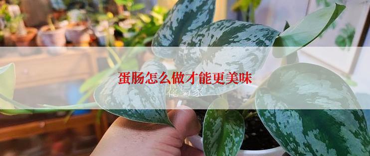 蛋肠怎么做才能更美味