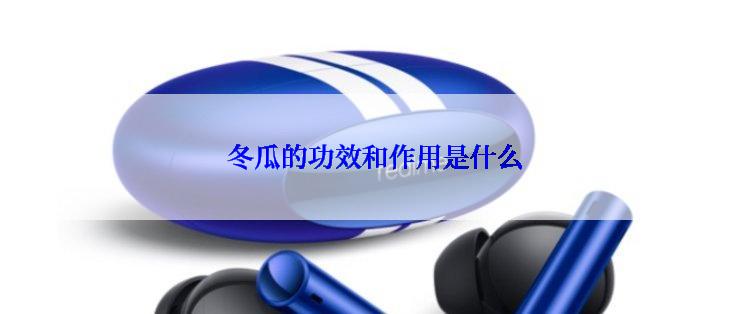  冬瓜的功效和作用是什么