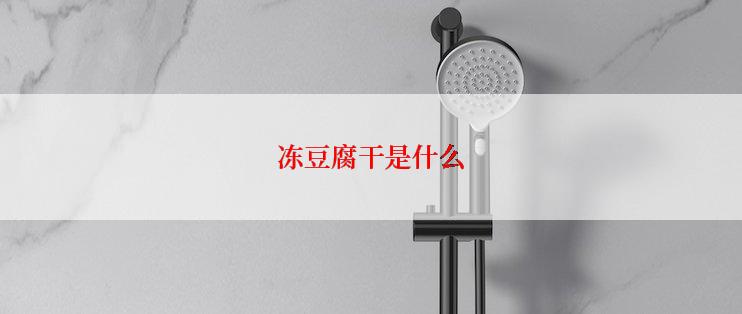 冻豆腐干是什么