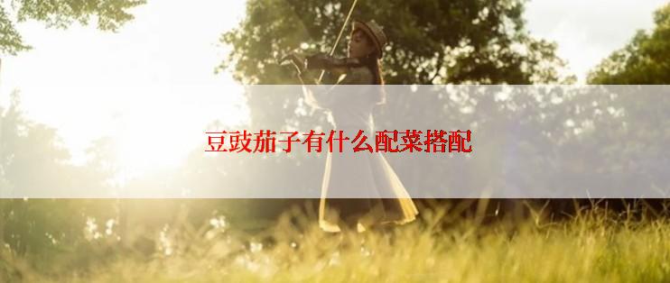  豆豉茄子有什么配菜搭配