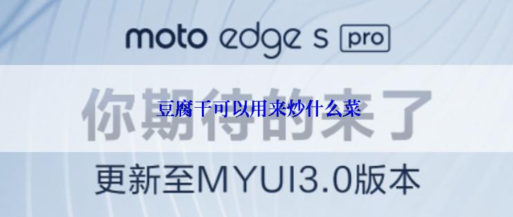  豆腐干可以用来炒什么菜