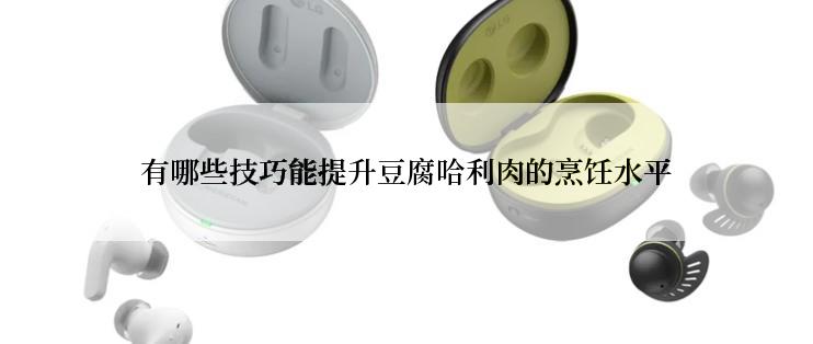 有哪些技巧能提升豆腐哈利肉的烹饪水平