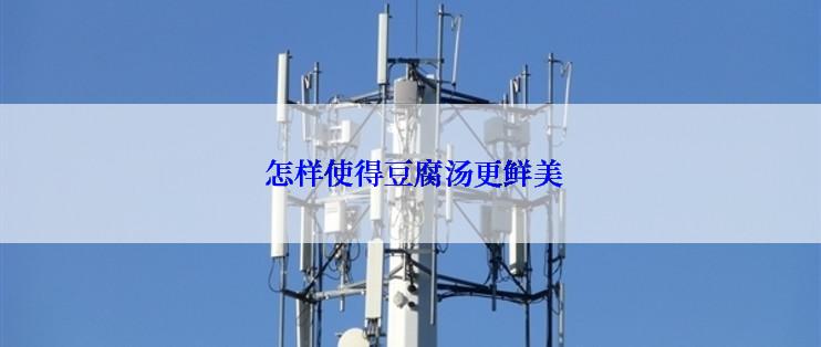  怎样使得豆腐汤更鲜美