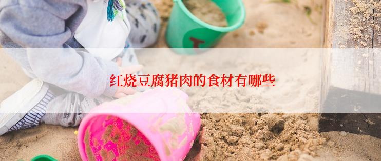  红烧豆腐猪肉的食材有哪些