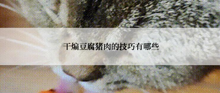  干煸豆腐猪肉的技巧有哪些