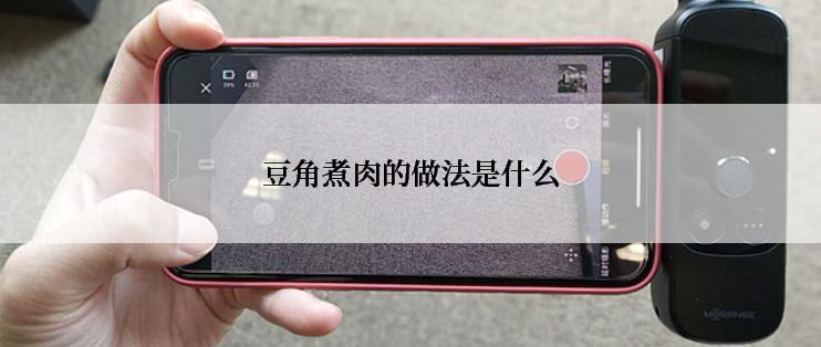 豆角煮肉的做法是什么