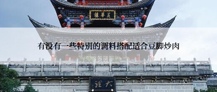 有没有一些特别的调料搭配适合豆脚炒肉