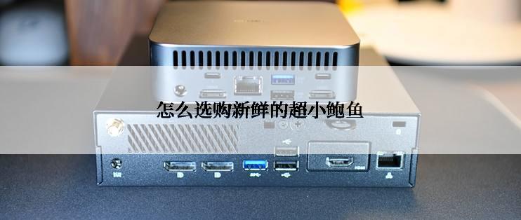 怎么选购新鲜的超小鲍鱼