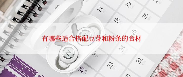 有哪些适合搭配豆芽和粉条的食材