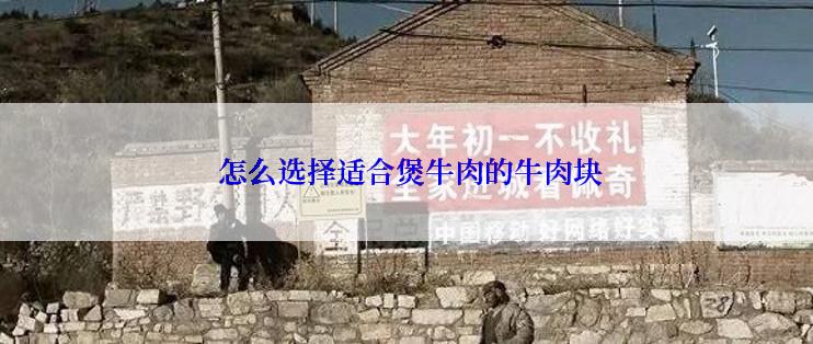  怎么选择适合煲牛肉的牛肉块