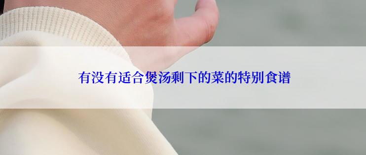  有没有适合煲汤剩下的菜的特别食谱