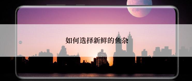  如何选择新鲜的鱼杂