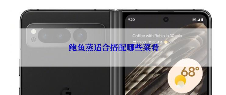  鲍鱼蒸适合搭配哪些菜肴