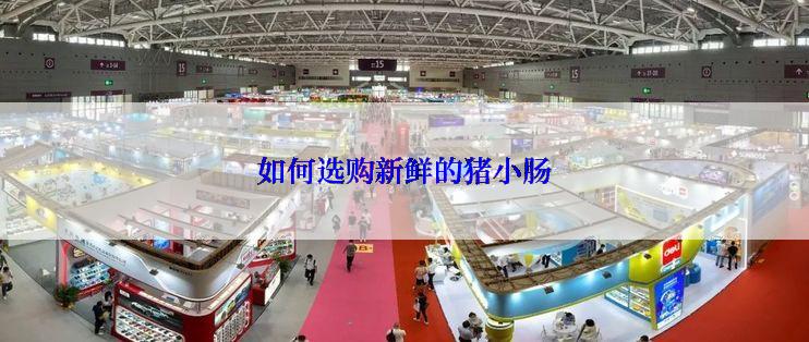 如何选购新鲜的猪小肠