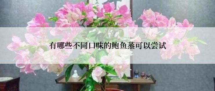 有哪些不同口味的鲍鱼蒸可以尝试