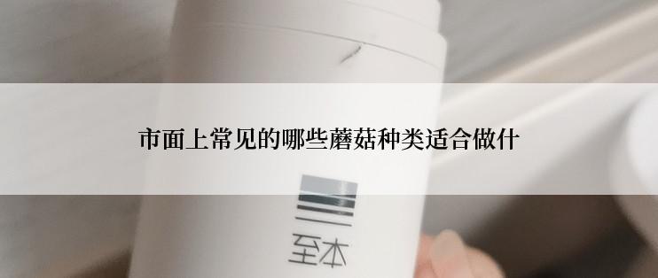 市面上常见的哪些蘑菇种类适合做什