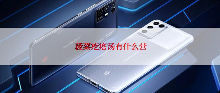  菠菜疙瘩汤有什么营