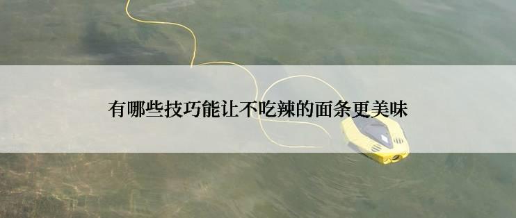 有哪些技巧能让不吃辣的面条更美味