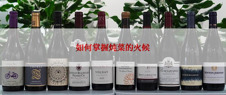 如何掌握炖菜的火候