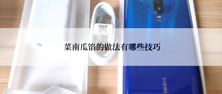  菜南瓜馅的做法有哪些技巧