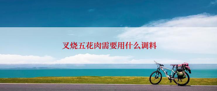  叉烧五花肉需要用什么调料