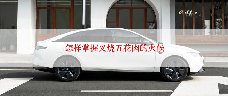  怎样掌握叉烧五花肉的火候
