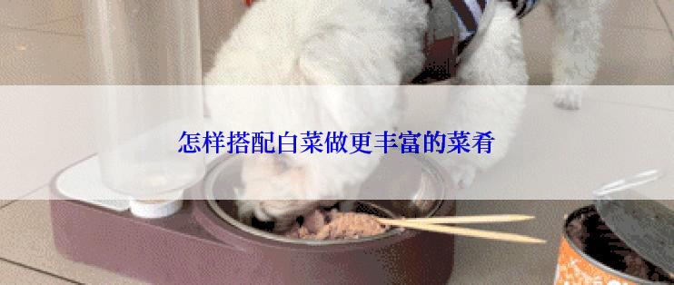 怎样搭配白菜做更丰富的菜肴