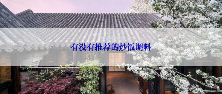 有没有推荐的炒饭调料